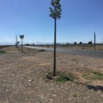 Lots de Terrain pour villas à partir de 1 200 000 DH / Akenza / Marrakech