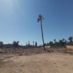 Lots de terrain à vendre/Targa / Marrakech