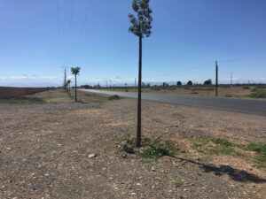 قطع أرضية سكنية لتشييد فيلا ابتداء من 1200000 درهم / أكنزة / مراكش